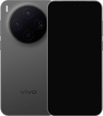Vivo X300